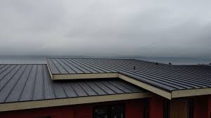 Best Hot Roofs  in Baldn, WI